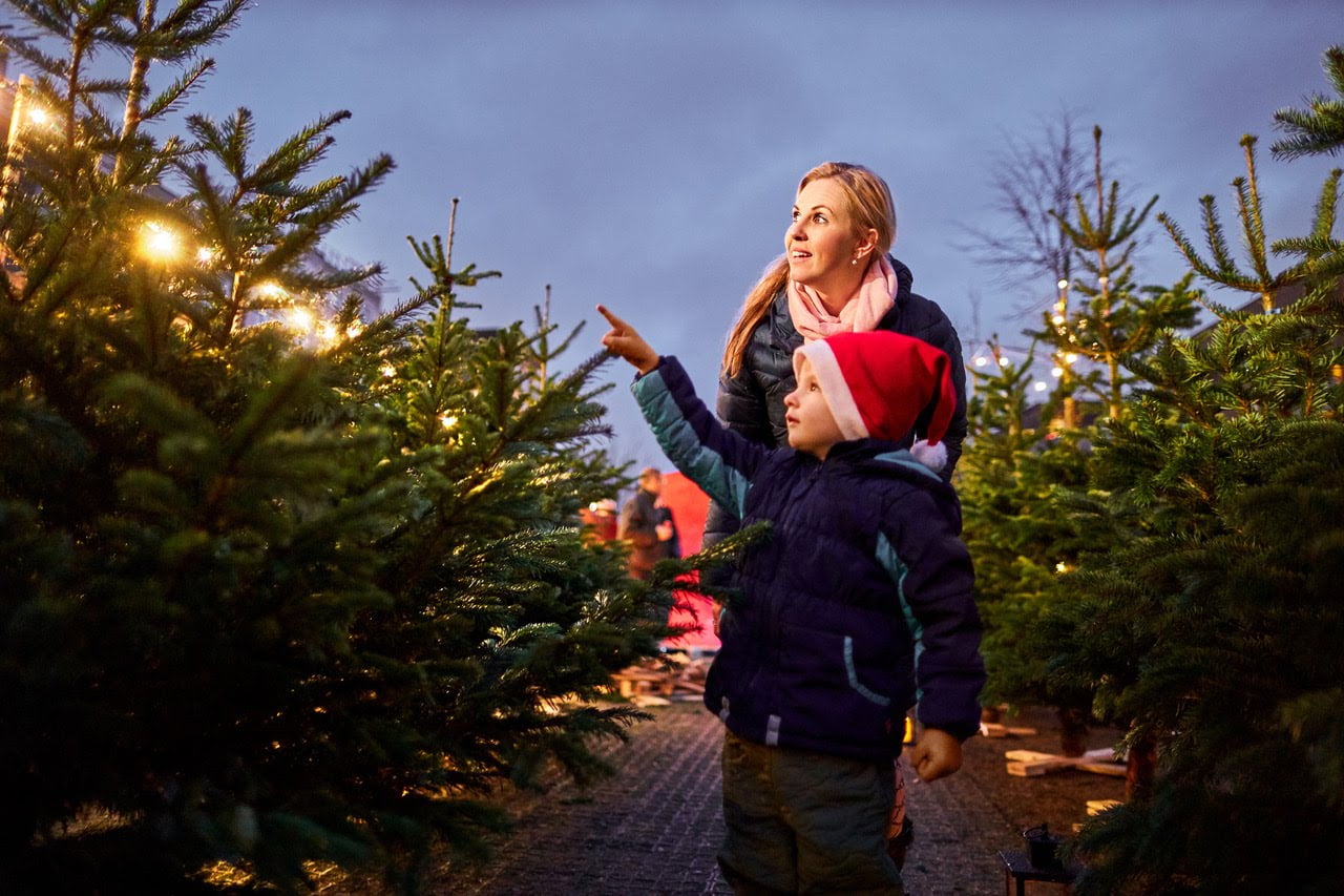 vaelge juletrae med familien