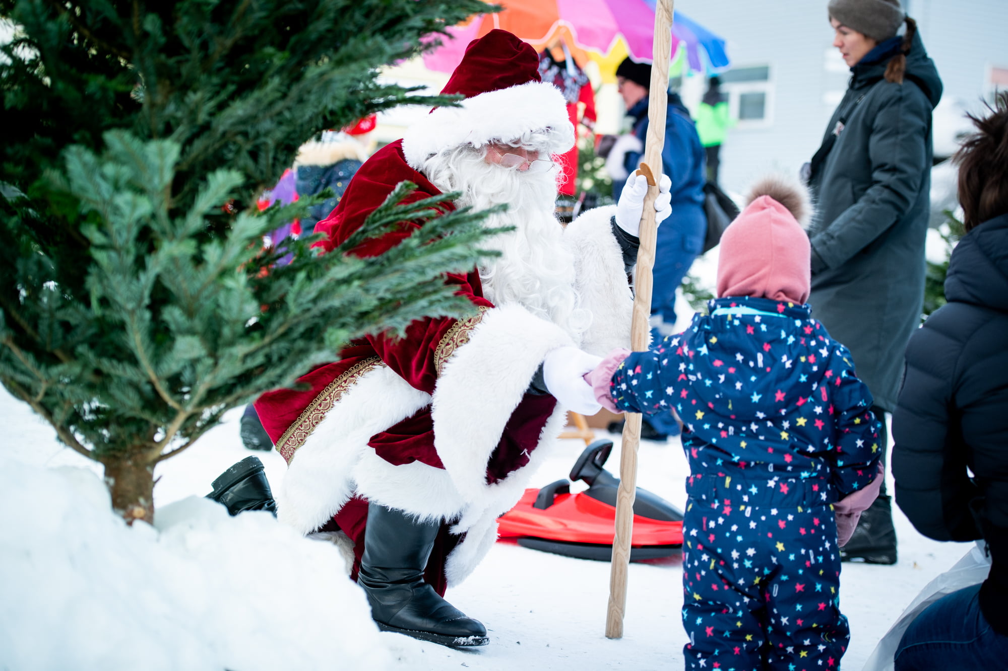 Salg af juletræer online